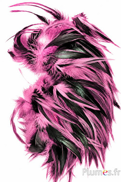 Hahnenkreuz Badger - 10-15 cm - altrosa